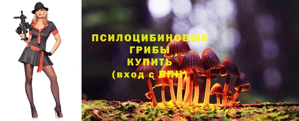 гидра Балахна