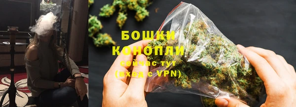 сатива Балабаново