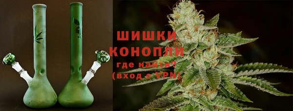спайс Белокуриха