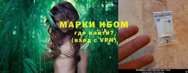 гидра Балахна