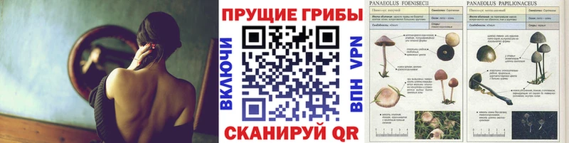 Галлюциногенные грибы мухоморы  Буй 